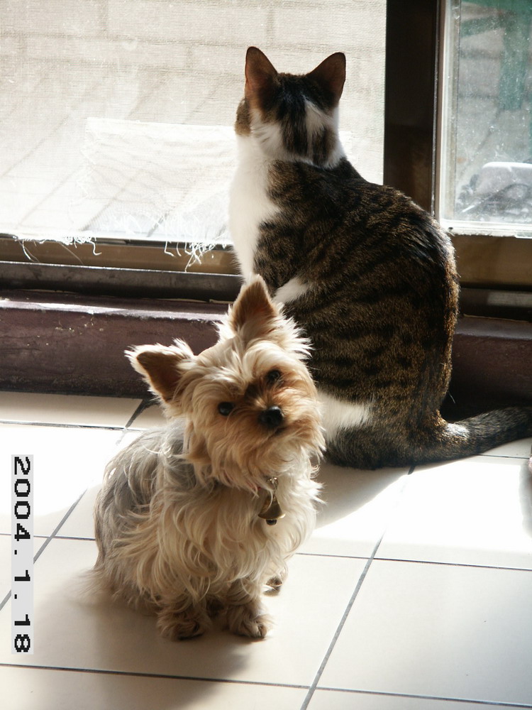 «ö¦¹¦b·sµøµ¡ÂsÄý¹Ï¤ù