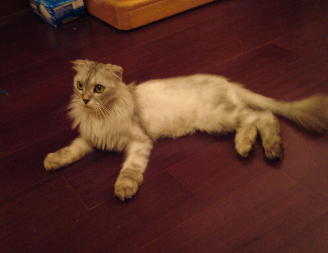 «ö¦¹¦b·sµøµ¡ÂsÄý¹Ï¤ù