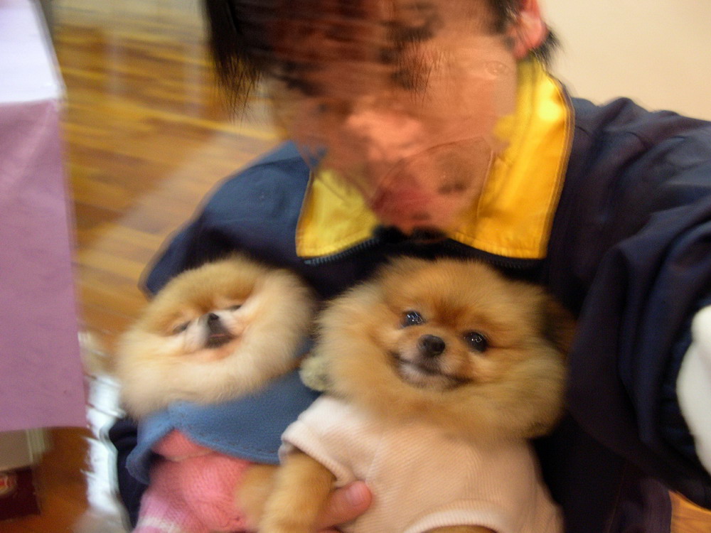 «ö¦¹¦b·sµøµ¡ÂsÄý¹Ï¤ù