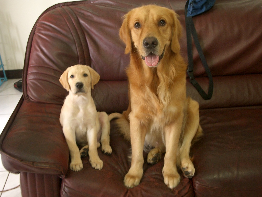 «ö¦¹¦b·sµøµ¡ÂsÄý¹Ï¤ù