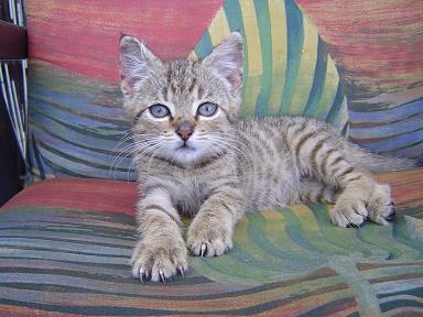 «ö¦¹¦b·sµøµ¡ÂsÄý¹Ï¤ù