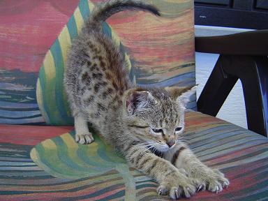 «ö¦¹¦b·sµøµ¡ÂsÄý¹Ï¤ù