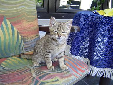 «ö¦¹¦b·sµøµ¡ÂsÄý¹Ï¤ù