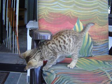 «ö¦¹¦b·sµøµ¡ÂsÄý¹Ï¤ù