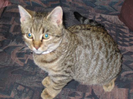 «ö¦¹¦b·sµøµ¡ÂsÄý¹Ï¤ù