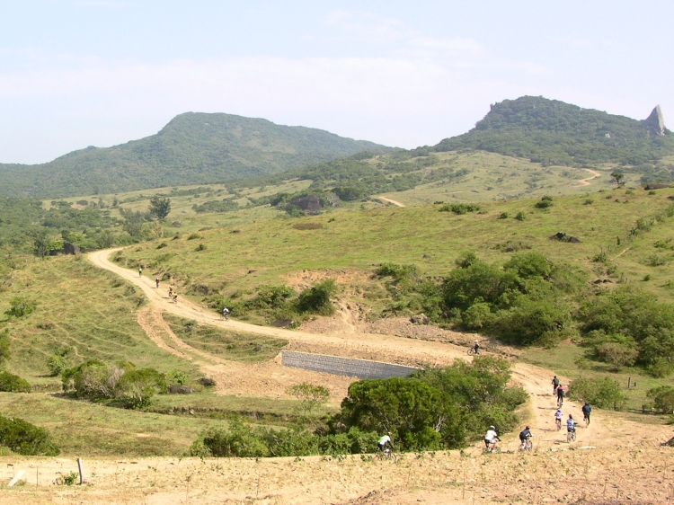 按此在新視窗瀏覽圖片