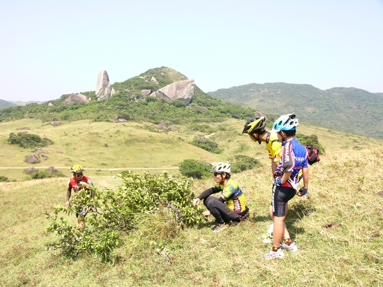 按此在新視窗瀏覽圖片