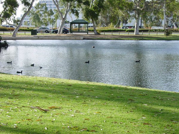 按此在新視窗瀏覽圖片