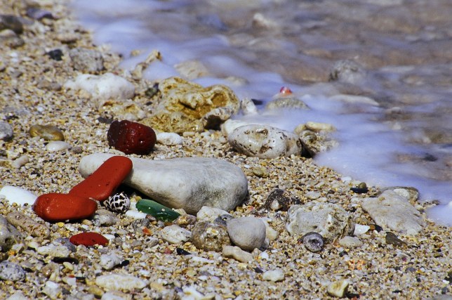 按此在新視窗瀏覽圖片