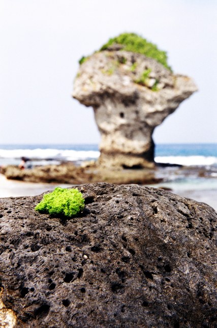 按此在新視窗瀏覽圖片