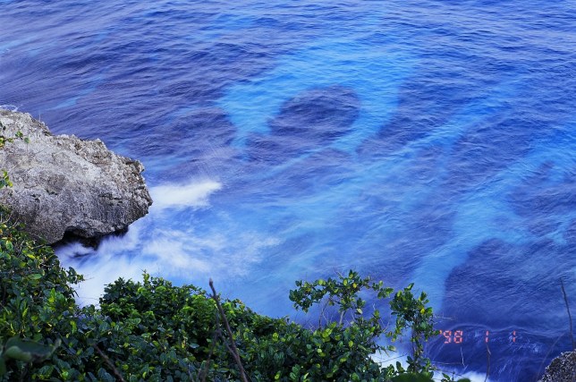 按此在新視窗瀏覽圖片