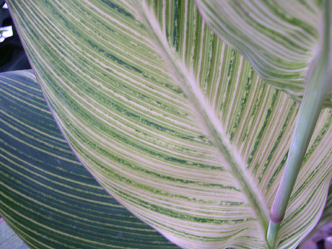 按此在新視窗瀏覽圖片