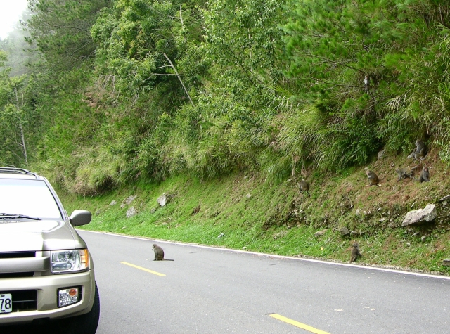 按此在新視窗瀏覽圖片