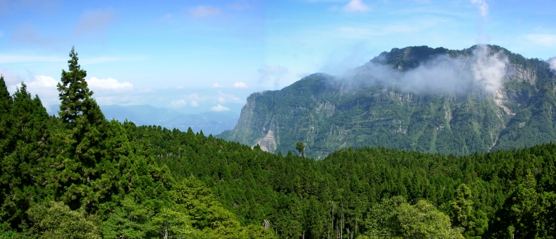 按此在新視窗瀏覽圖片