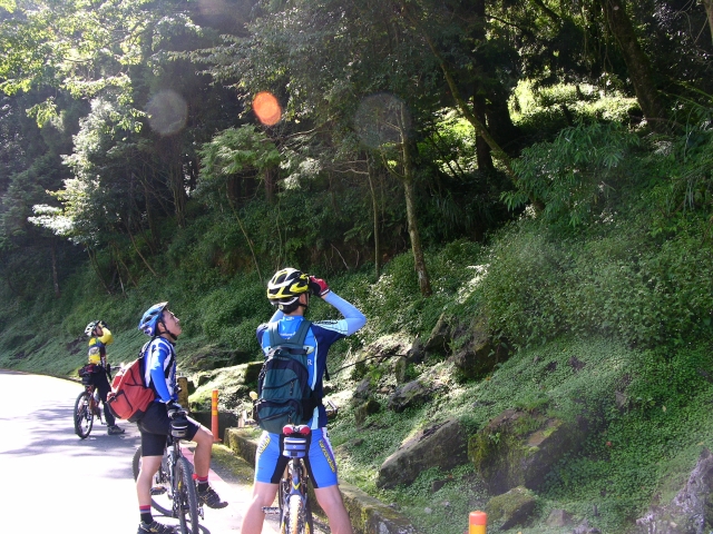 按此在新視窗瀏覽圖片