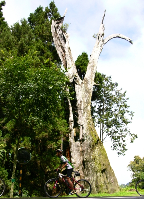 按此在新視窗瀏覽圖片