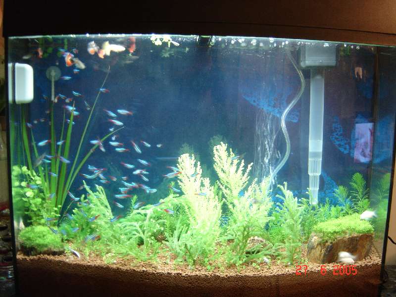 «ö¦¹¦b·sµøµ¡ÂsÄý¹Ï¤ù