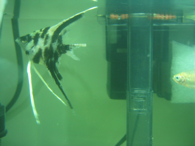 «ö¦¹¦b·sµøµ¡ÂsÄý¹Ï¤ù