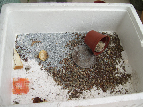 «ö¦¹¦b·sµøµ¡ÂsÄý¹Ï¤ù