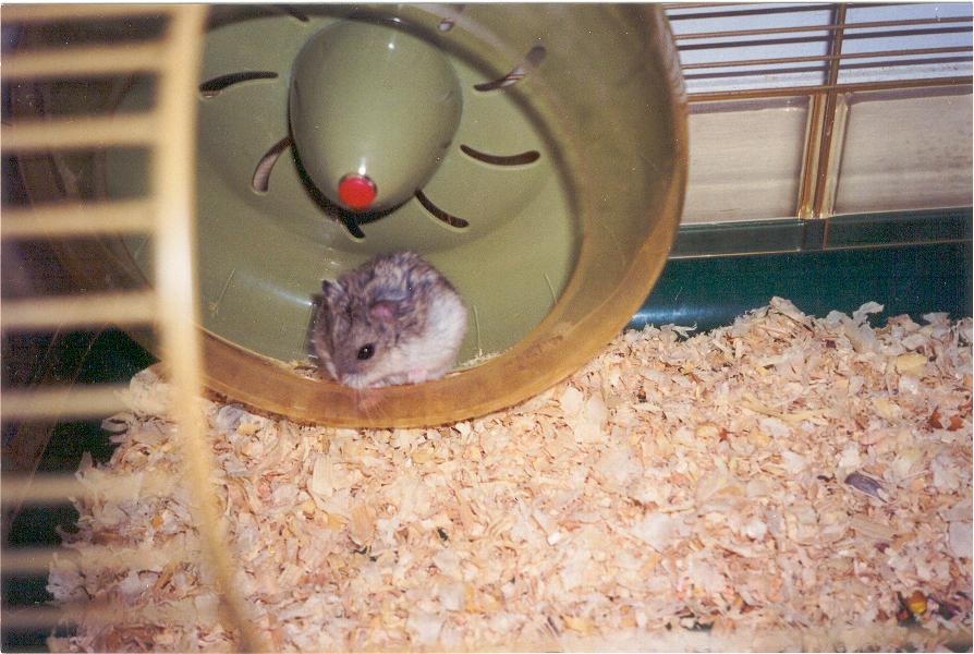 «ö¦¹¦b·sµøµ¡ÂsÄý¹Ï¤ù