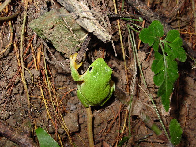 按此在新視窗瀏覽圖片