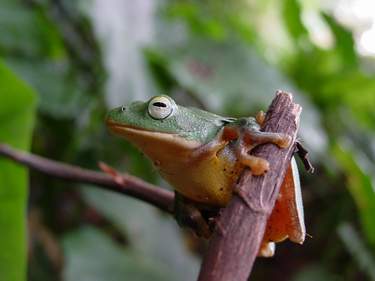 按此在新視窗瀏覽圖片