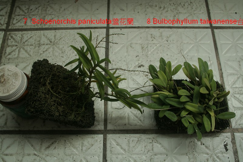 «ö¦¹¦b·sµøµ¡ÂsÄý¹Ï¤ù