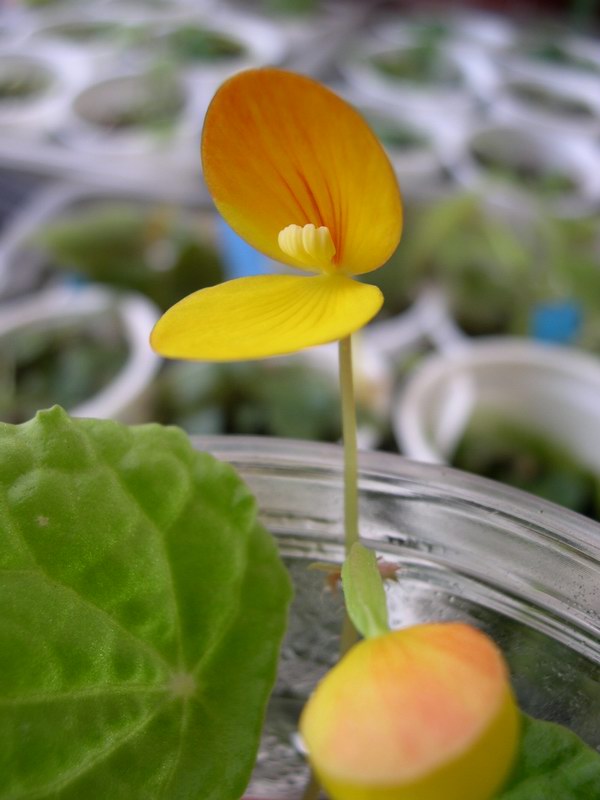 «ö¦¹¦b·sµøµ¡ÂsÄý¹Ï¤ù