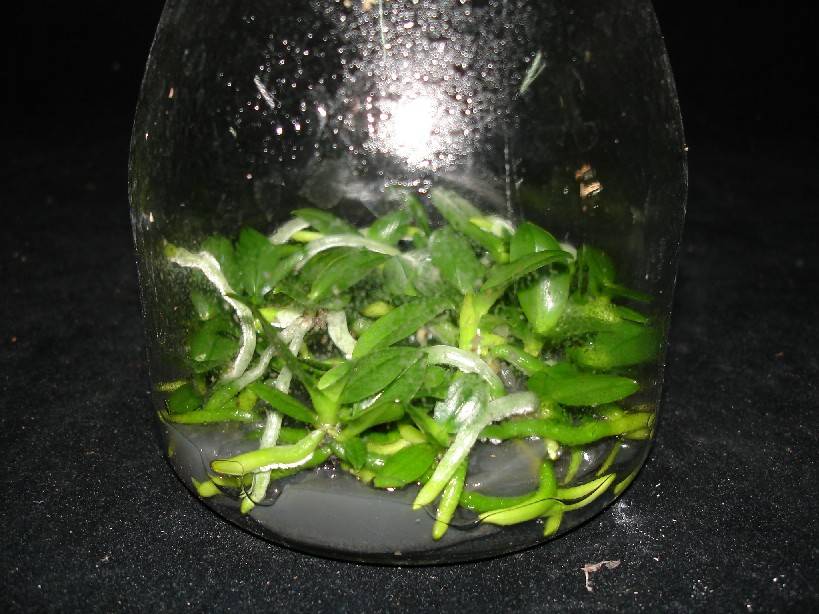 «ö¦¹¦b·sµøµ¡ÂsÄý¹Ï¤ù