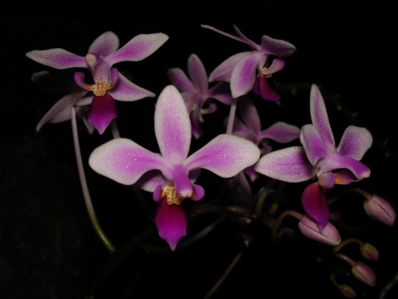 «ö¦¹¦b·sµøµ¡ÂsÄý¹Ï¤ù