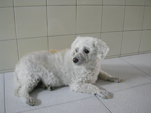 «ö¦¹¦b·sµøµ¡ÂsÄý¹Ï¤ù