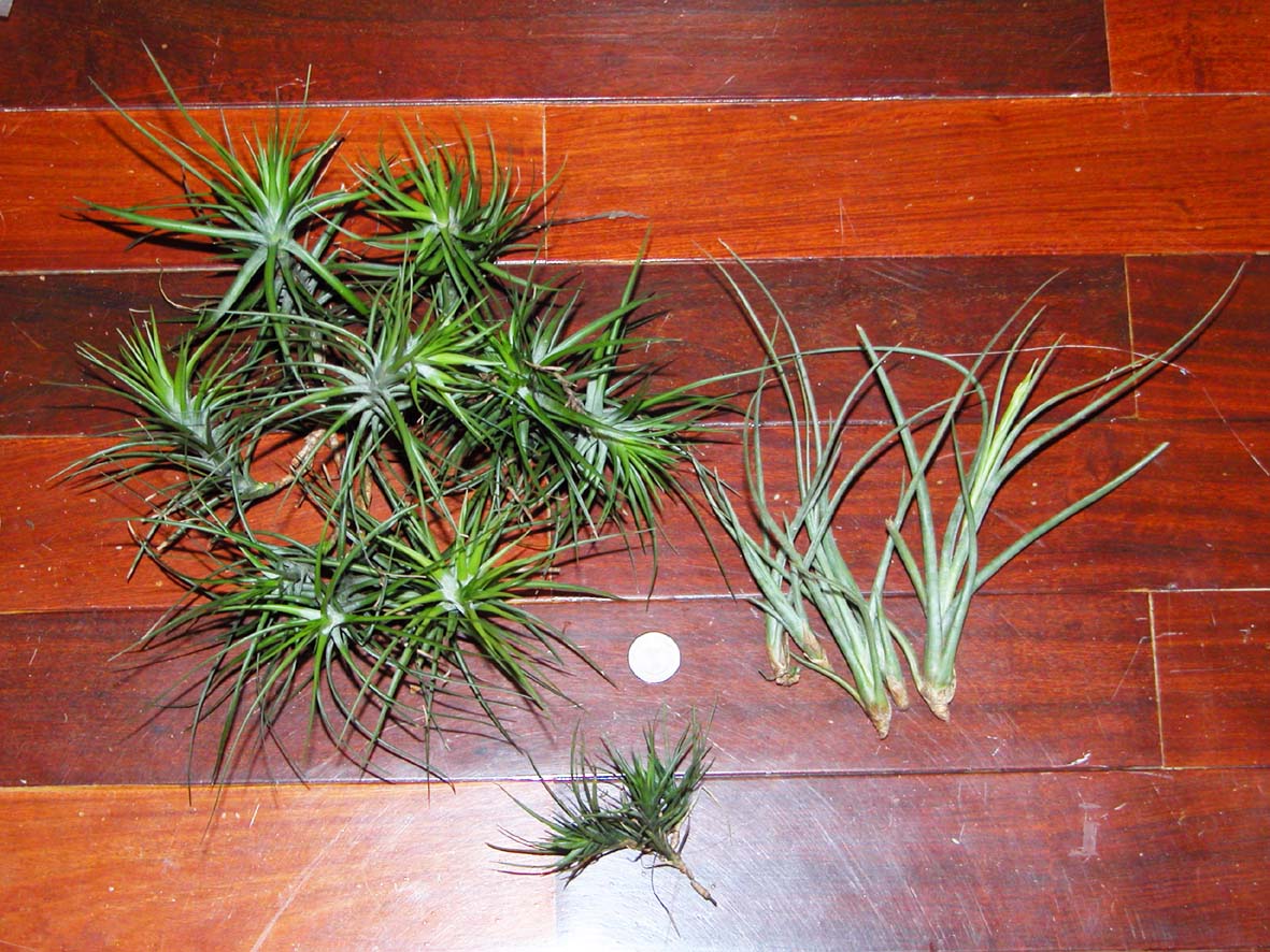 «ö¦¹¦b·sµøµ¡ÂsÄý¹Ï¤ù