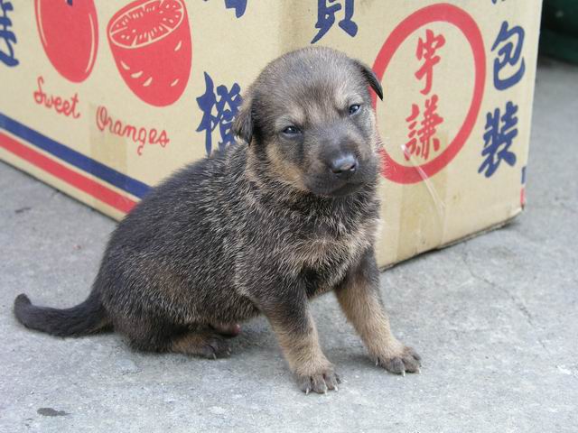 «ö¦¹¦b·sµøµ¡ÂsÄý¹Ï¤ù