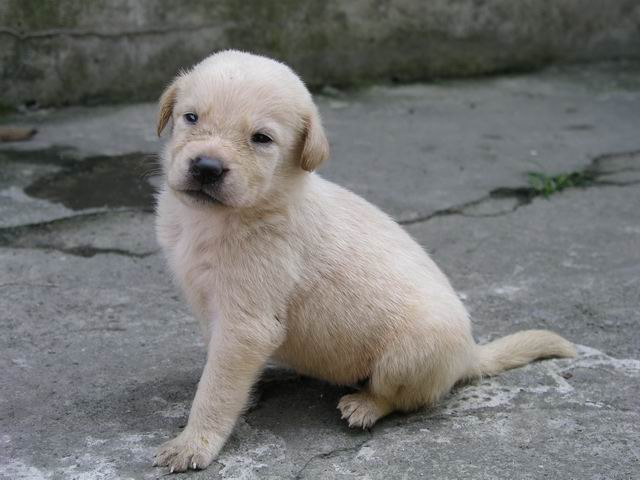 «ö¦¹¦b·sµøµ¡ÂsÄý¹Ï¤ù