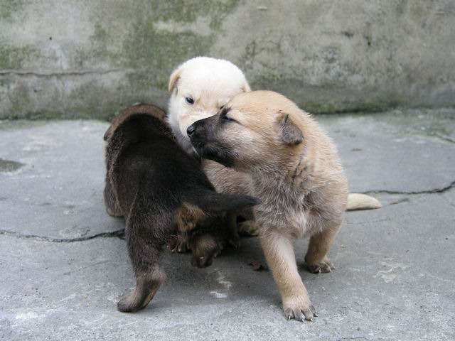 «ö¦¹¦b·sµøµ¡ÂsÄý¹Ï¤ù