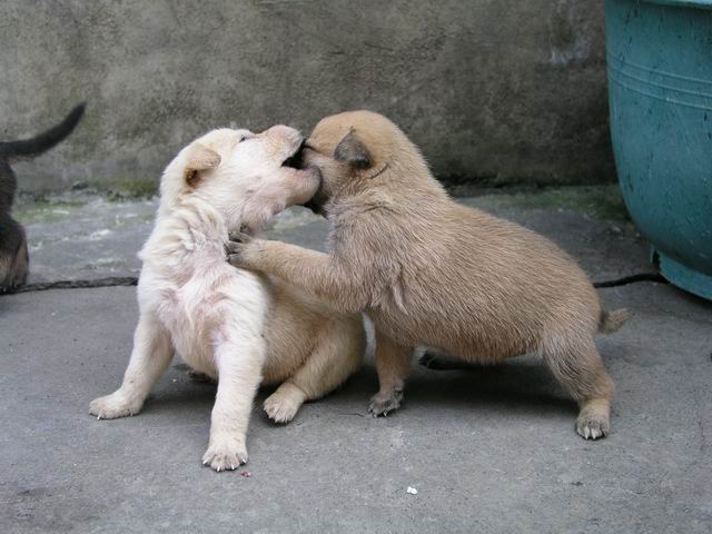 «ö¦¹¦b·sµøµ¡ÂsÄý¹Ï¤ù