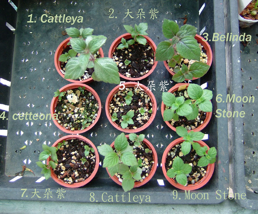 «ö¦¹¦b·sµøµ¡ÂsÄý¹Ï¤ù