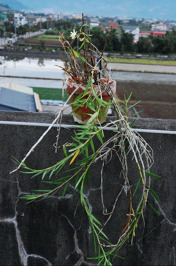 «ö¦¹¦b·sµøµ¡ÂsÄý¹Ï¤ù