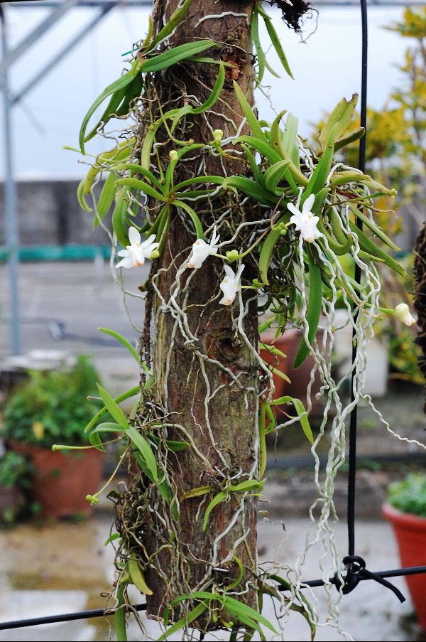 «ö¦¹¦b·sµøµ¡ÂsÄý¹Ï¤ù