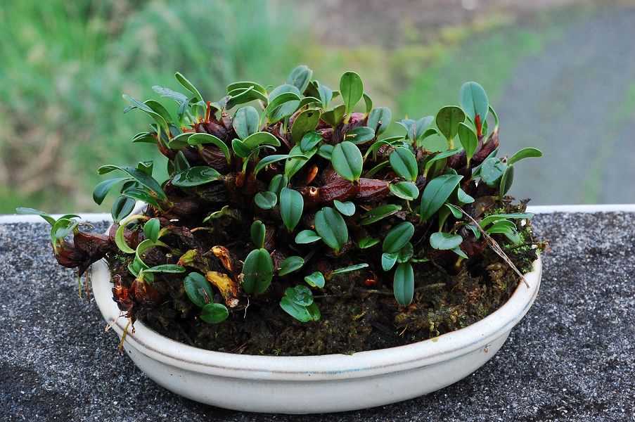 «ö¦¹¦b·sµøµ¡ÂsÄý¹Ï¤ù