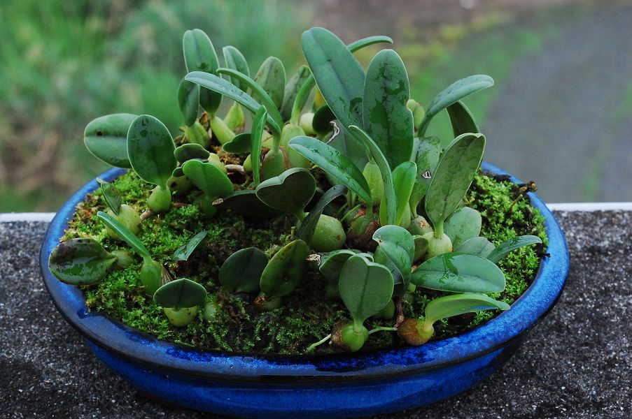 «ö¦¹¦b·sµøµ¡ÂsÄý¹Ï¤ù