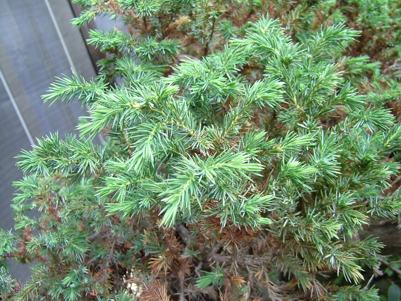 «ö¦¹¦b·sµøµ¡ÂsÄý¹Ï¤ù