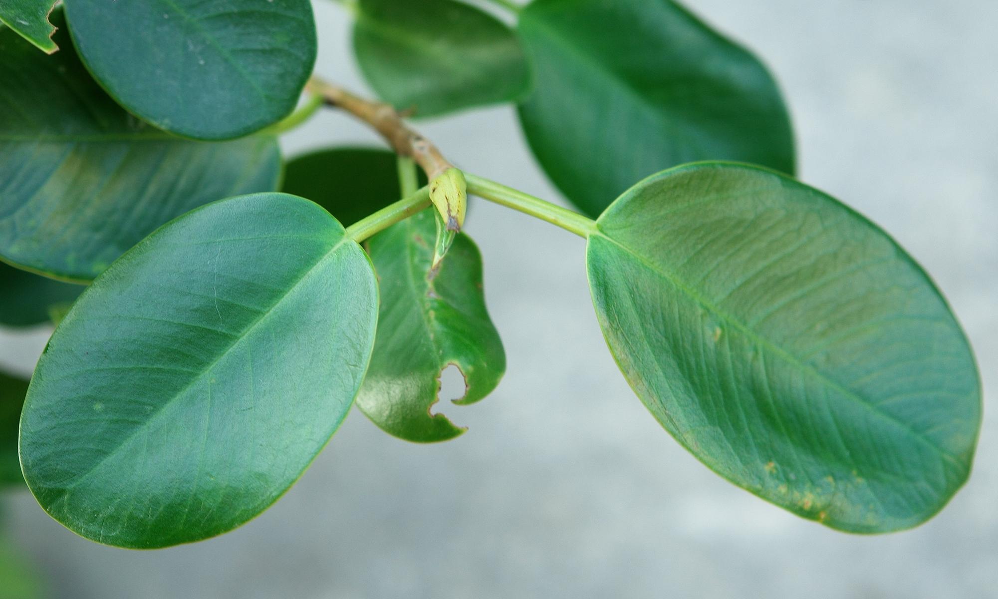 «ö¦¹¦b·sµøµ¡ÂsÄý¹Ï¤ù