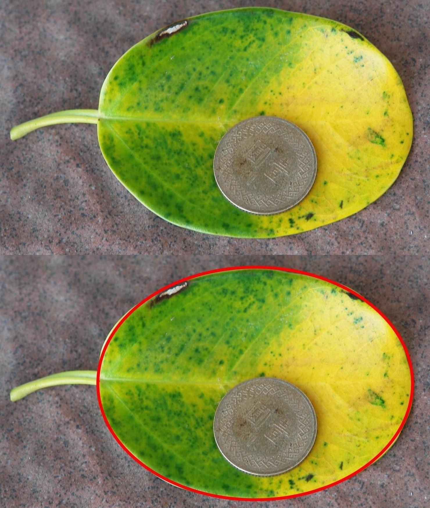 «ö¦¹¦b·sµøµ¡ÂsÄý¹Ï¤ù