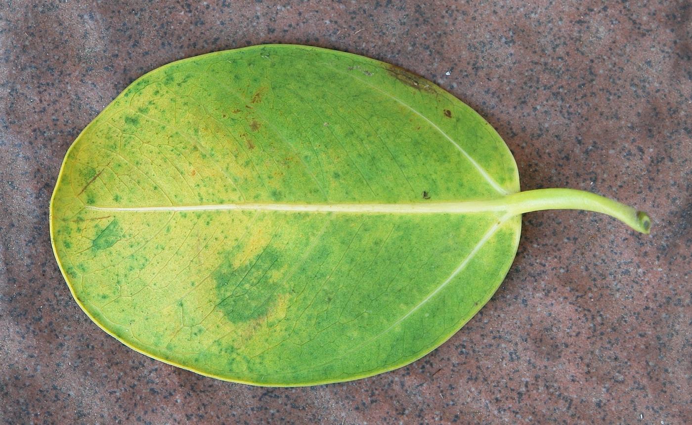 «ö¦¹¦b·sµøµ¡ÂsÄý¹Ï¤ù