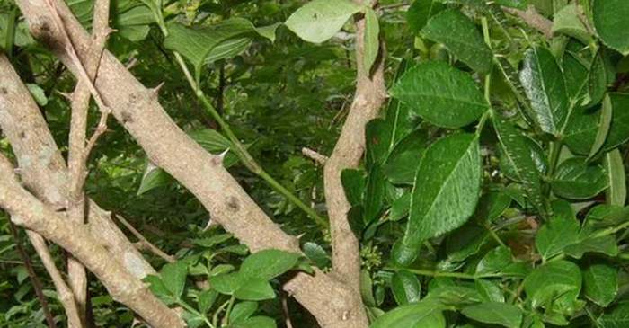 «ö¦¹¦b·sµøµ¡ÂsÄý¹Ï¤ù