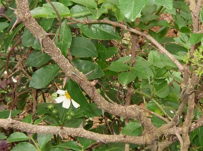 «ö¦¹¦b·sµøµ¡ÂsÄý¹Ï¤ù