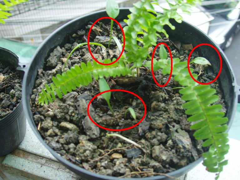 «ö¦¹¦b·sµøµ¡ÂsÄý¹Ï¤ù