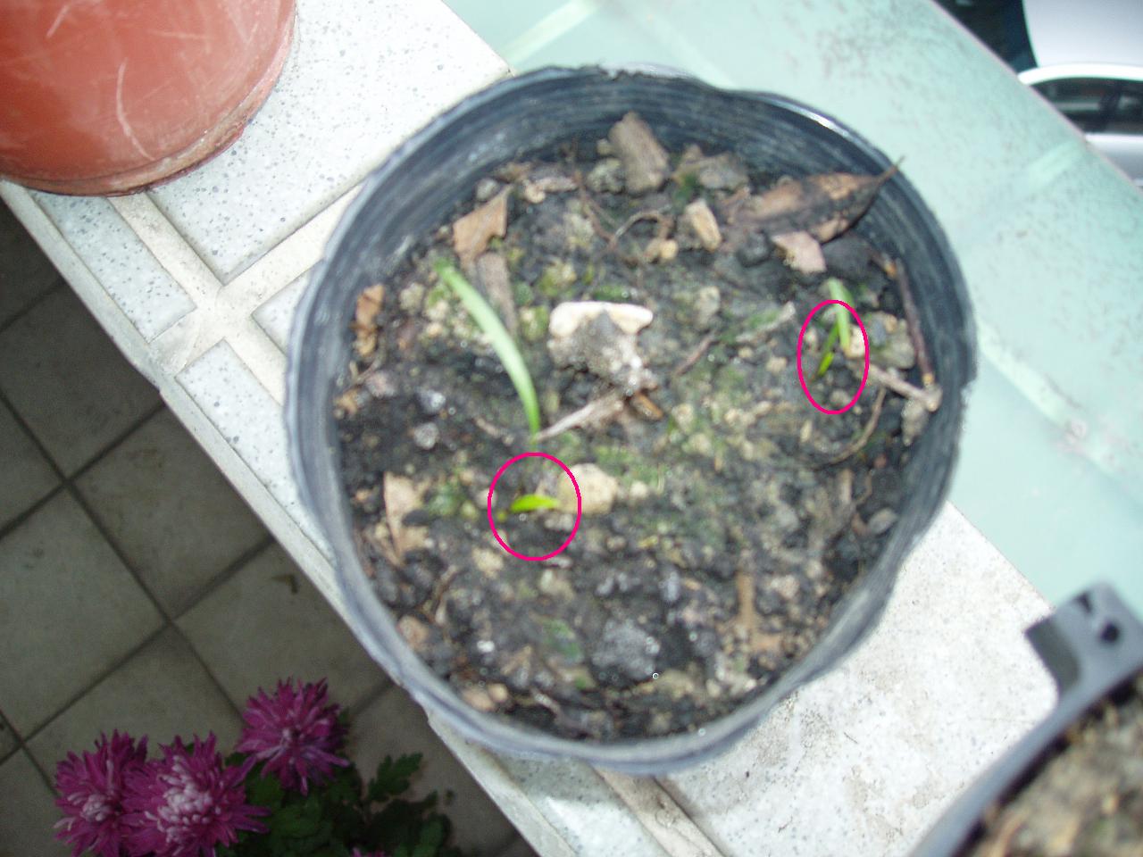 «ö¦¹¦b·sµøµ¡ÂsÄý¹Ï¤ù