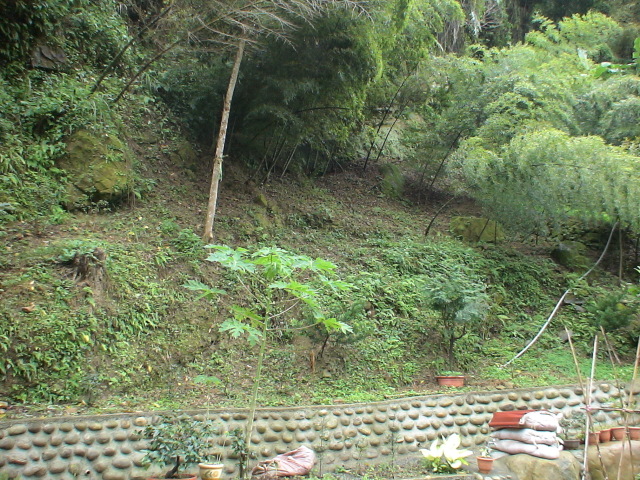 «ö¦¹¦b·sµøµ¡ÂsÄý¹Ï¤ù